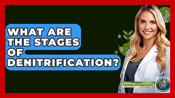 What Are The Stages Of Denitrification? - Earth Science Answers