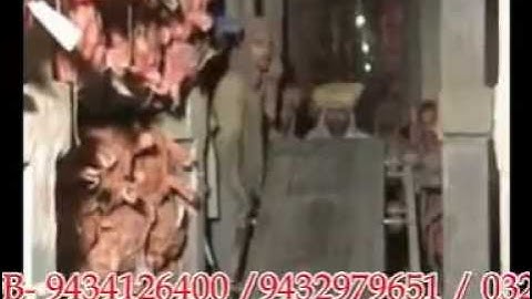 Cold Storage Conveyor System by Rajlaxmi Engineering Works