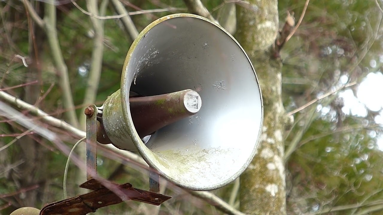 有線放送時報 大分県豊後大野市緒方町原尻地区15時「アマリリス」