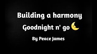 Goodnight n go harmony breakdown| Ariana Grande