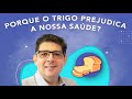 Porque o TRIGO prejudica a nossa saúde | Dr Juliano Teles