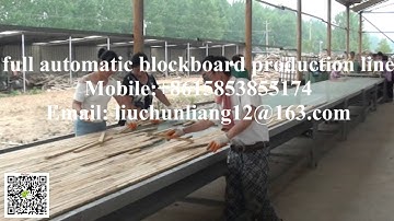 full automatic blockboard production line with loading and unloading system