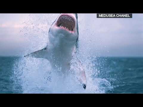 Ένα Video για