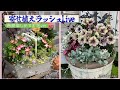 【園芸】寄せ植えラッシュLive！ニチニチソウ・ペチュニア寄せ植えを作りまくる！#ガーデニング