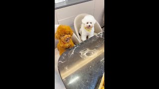 能不能靠你一回？
