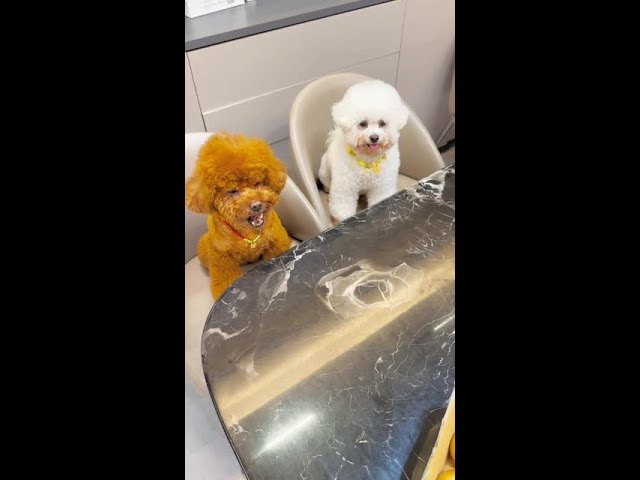 能不能靠你一回？