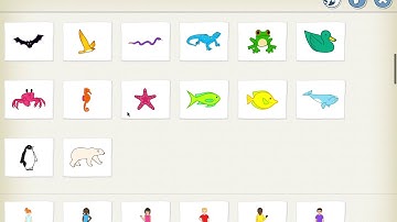 Scratch Jr  Wk 2 Motion With Events
