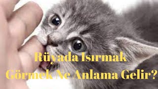 Rüyada Isırmak-Isırılmak Ne Anlama Gelir?