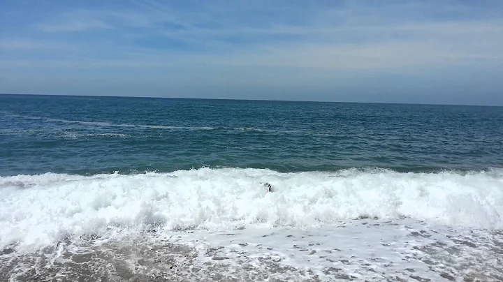 Ollie body surfing chesil beach
