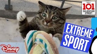 Extreme Sports Animals Vs Humans 101 Dalmatian Street Disney Channel Africa