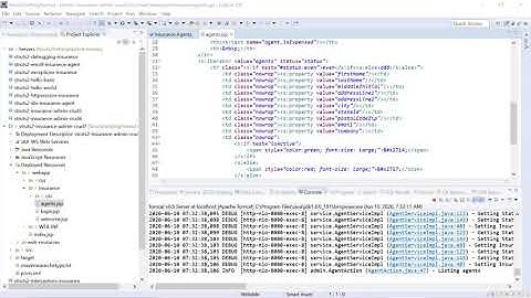 30. Get an Insurance Agent with Spring JDBC Template : Part 2 - Geting Started with Struts 2