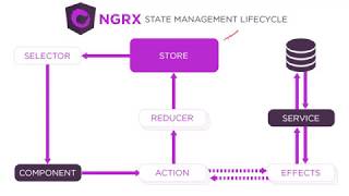 Celebrity NGRX Store Intro + Architecture Wealth