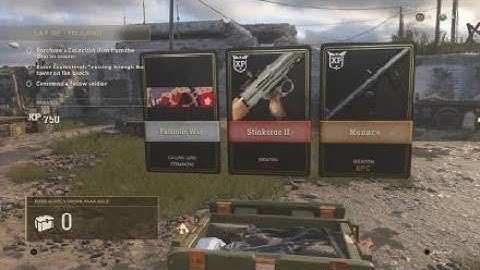CoD WW2: 2 Epic and 1 Heroic Weapon Variants!
