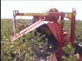 JOANNA-3 półrzędowy kombajn do owoców jagodowych (half row berry harvester)