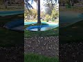 ⛲🐦 Fuente de agua con paloma | Fountain of water ⛲ Pigeon 🕊️ #shorts #WaterSounds #aves #relaxing