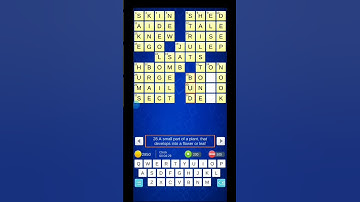 😵Can u solve English Crossword faster than this?🤓 #shorts #shortsfeed #games