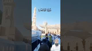 Al-Quran -Quran -Egzon Ibrahimi