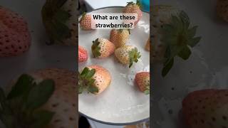 What are these strawberries?