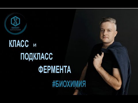 Биохимия: класс и подкласс фермента