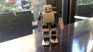 PLEN is walking and dancing on the counter.