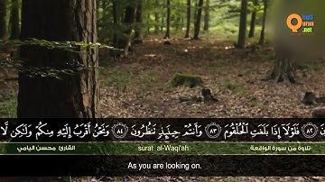 من سورة الواقعة   القارئ محسن اليامي   HD   Mohsen al Yami   Surat al Waqi'ah''''