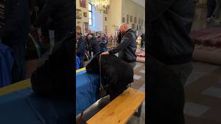 У Полтаві попрощалися з Андрієм Туровим та Олександром Маляренком