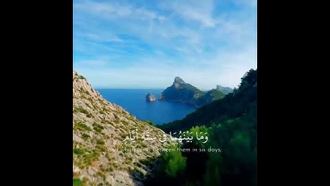 تلاوات خاشعة / القارىء عبدالرحمن مسعد