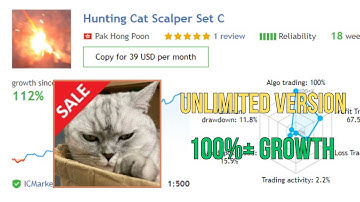 Hunting Cat Scalper MT4 EA Crack Version Available now