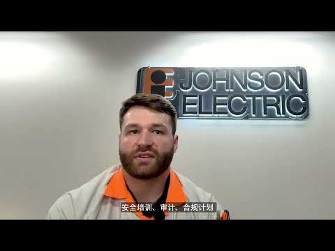 Johnson Electric Automotive