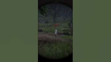 Red Dead Online - His Bow Skills are almost good as my sniping skills 😂