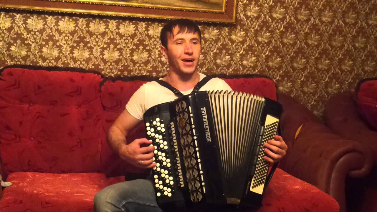 Синдиков аварская мафия. Аварские песни на гармошке. Красивые аварские песни на баяне. Магомед синдиков. Аварцы песни.