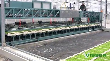 Visser Horti Systems - X Y Internal transportation system - Gipmans