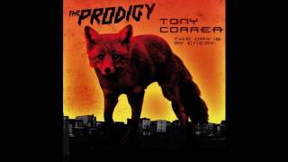 The Prodigy - The Day Is My Enemy (METALHAWK Bootleg)