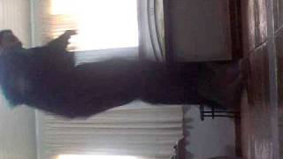 Rebolation Kinho Rox ( Em horizontal mais rox) \õ