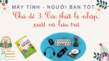 Chủ đề 3 - Các thiết bị nhập, xuất và lưu trữ | Máy tính | TIN HỌC LỚP 3