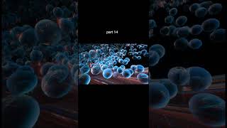 क्या हमारा Universe सिर्फ एक Bubble है? 😨 #Multiverse #Universe #Science