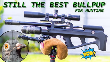 Still the Best Bullpup | FX Wildcat MK3 BT Compact | JSB 18.13gr Pellets | Farmyard Pest Control