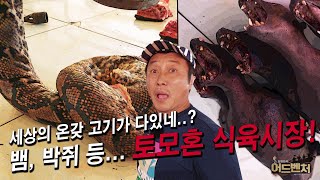 [ENG SUB] 뱀 고기! 박쥐 고기! 세상 온갖고기 다 모였다..! 토모혼 식육시장_김병만의 어드벤처