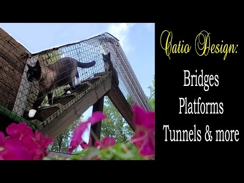 DIY CATIO:  Ideas for  Connectivity 🐈