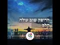 שי דאוד ( שי לב ענק ) &amp; the flow moment band  -  ַלֵּב מָלֵא סְדָקִים, זְכוּכִיּוֹת