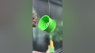 Powder coating process is always cool to watch. #powdercoating #custom #satisfying #process