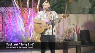 Paul Izak "SongBird"  Live at Waikiki Beachside Hostel chords