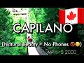 Capilano suspension bridge park north vancouver   8mm film from may 2000