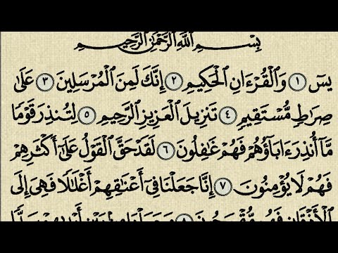 سورة يس من الاية  الى  
