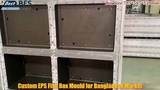 Custom EPS Fish Box Moulds with Lid & Box in One – Shipped to Bangladesh Fishery Industry