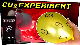 EXPERIMENT | Warum CO2 ein Treibhausgas ist | Mit @BreakingLab