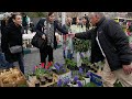 Навруз в Тегеране: многолюдные рынки несмотря на продолжающиеся авиаудары