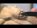 Carving a Horse's Head - Wood Carving Teaching DVD by Ian Norbury (Clip) Carving a Horse's Head - Wood Carving Teaching DVD by Ian Norbury (Clip)