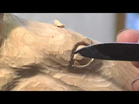 Carving a Horse's Head - Wood Carving Teaching DVD by Ian ...