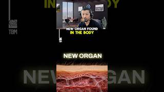 NEW organ FOUND in the body | Hyperarch Fascia Training
